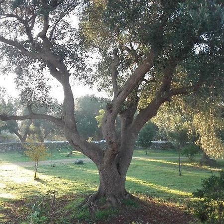 Sol Invictus Est Villa Serranova Exteriör bild