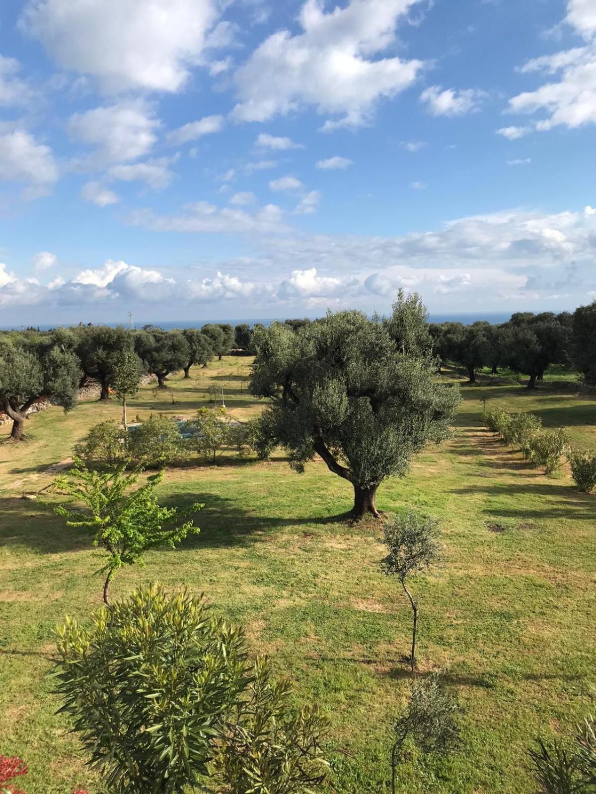 Sol Invictus Est Villa Serranova Exteriör bild