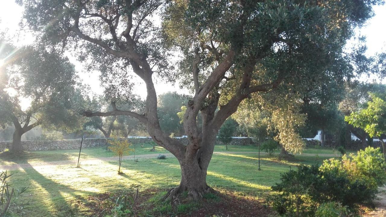 Sol Invictus Est Villa Serranova Exteriör bild