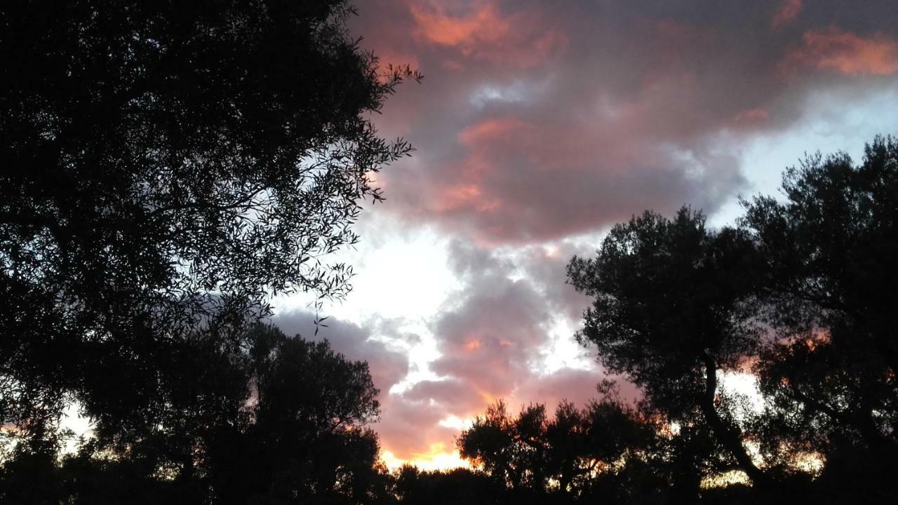Sol Invictus Est Villa Serranova Exteriör bild